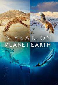 A Year On Planet Earth